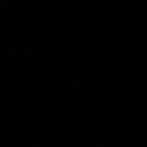 Meet your Posher, Brice